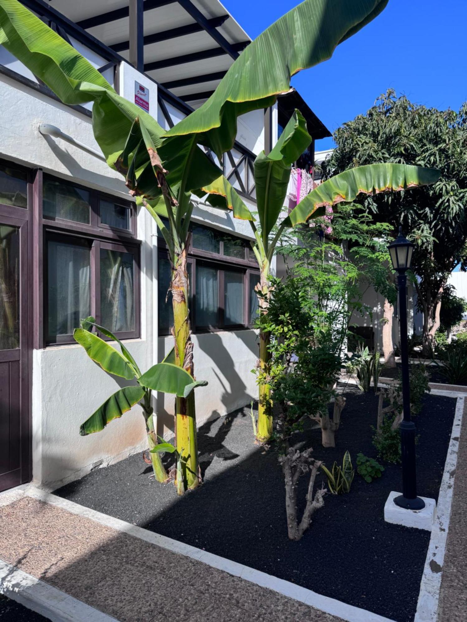Apartmán Casa Ana Puerto Del Carmen Tías Exteriér fotografie